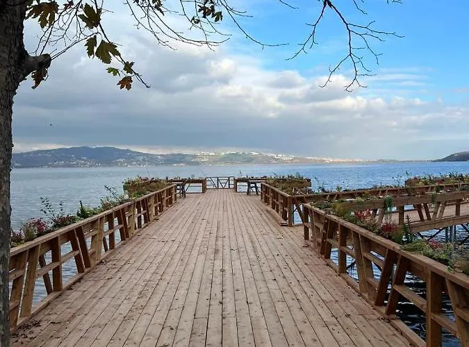 Hope Sapanca 호텔 *